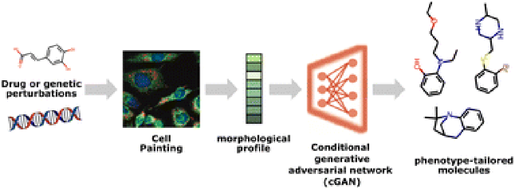 Graph Representation Learning for Drug Discovery